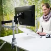 R-Go Tools R-Go Morelia dokumentų laikiklis, modulis su Caparo ir Zepher monitoriaus laikikliu