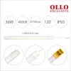 LED panelinė lempa OLLO FF102-36W — 36 W, 4150 lm šviesos srautas