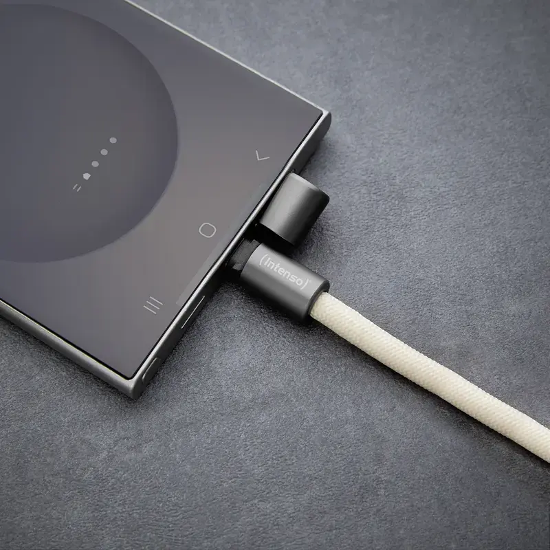USB laidas Intenso Handykette 1,65 m USB-C smėlio spalvos