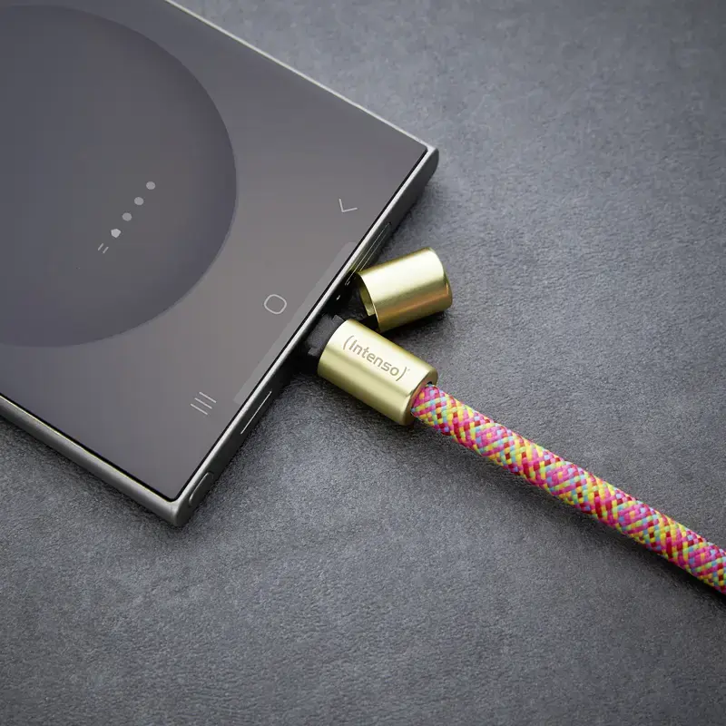 Intenso USB-C įkrovimo dirželio telefono kaklo laidas 60W greitas įkrovimas reguliuojamas ilgis 1,65 m nailonas įvairiaspalvis