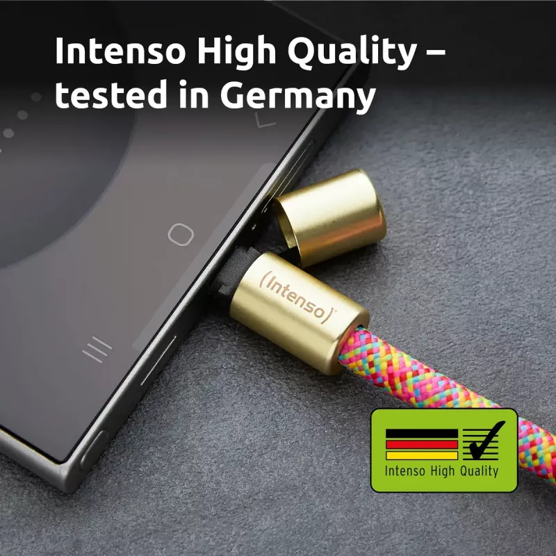 Intenso USB-C įkrovimo dirželio telefono kaklo laidas 60W greitas įkrovimas reguliuojamas ilgis 1,65 m nailonas įvairiaspalvis