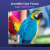 Vention DP į HDMI kabelis 1,5 m juodas DisplayPort HDMI 1,5m