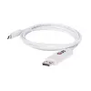 CLUB3D USB 3.1 Type C laidas prie DisplayPort 1.2 UHD adapterio