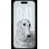 Išmanusis telefonas „Apple iPhone 17 Pro“ 6,3 colio 256 GB sidabrinis