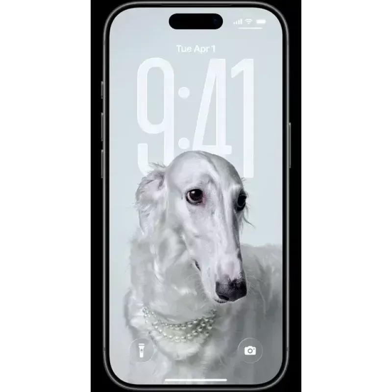 Išmanusis telefonas „Apple iPhone 17 Pro“ 6,3 colio 256 GB sidabrinis