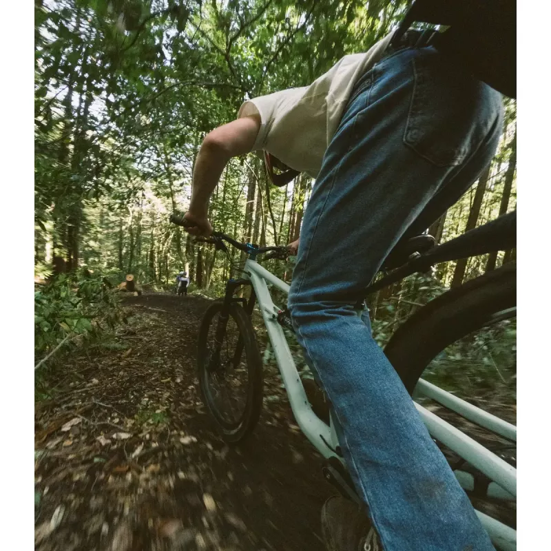 Išplečiamas stiebas GoPro Boom AEXTM-001