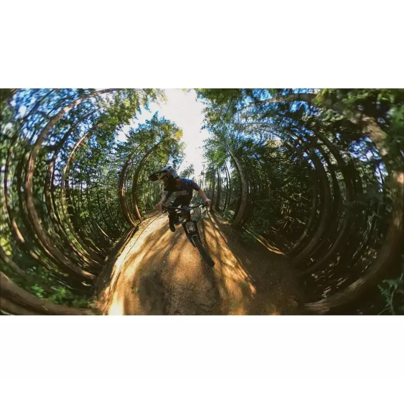 Išplečiamas stiebas GoPro Boom AEXTM-001