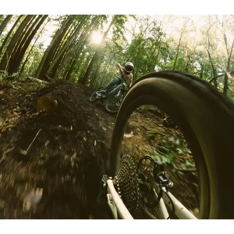 Išplečiamas stiebas GoPro Boom AEXTM-001