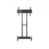 Multibrackets M Public Floorstand Basic 180 su lentyna ir kameros laikikliu