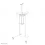 Lentyna Neomounts AFL-875WH1 Balta Plienas 5.3 kg
