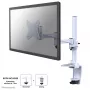Neomounts FPMA-D1330WHITE monitoriaus laikiklis 10-30 colių