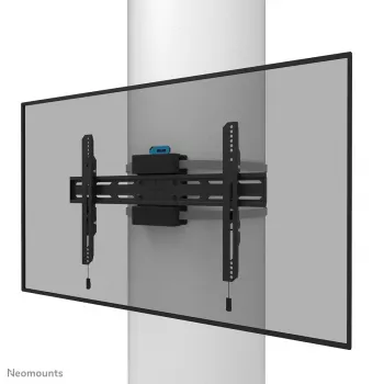 Neomounts televizoriaus stulpo laikiklis WL30S-910BL16 50 kg 40-75 coliai