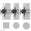 Neomounts televizoriaus stulpo laikiklis WL30S-910BL16 50 kg 40-75 coliai