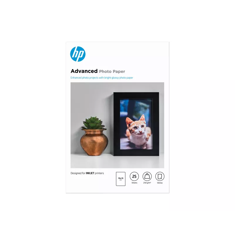 HP Advanced Photo Paper Glossy 250 g/m2 10 x 15 cm (101 x 152 mm) 25 lapai
