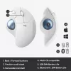 pelė Logitech ERGO M575 Wireless Trackball RF Wireless + Bluetooth