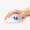 pelė Logitech ERGO M575 Wireless Trackball RF Wireless + Bluetooth