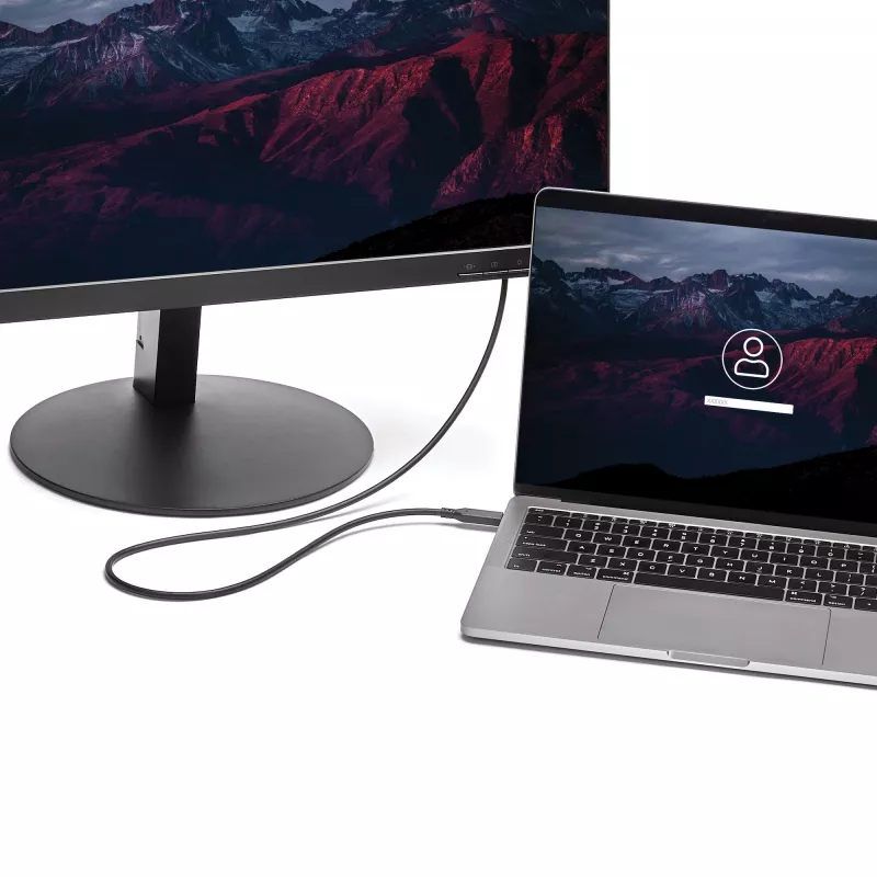 StarTech.com 1 m (3.3 ft.) USB-C į Mini DisplayPort kabelis – 4K 60Hz – juodas