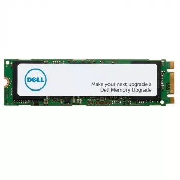 DELL AA615520 vidinis kietojo kūno diskas 1 TB M.2 PCI Express NVMe