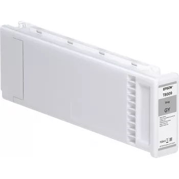 Epson Vienetinė pakuotė Pilka T800900 UltraChrome PRO 700ml