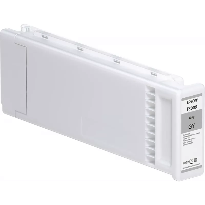 Epson Vienetinė pakuotė Pilka T800900 UltraChrome PRO 700ml