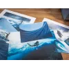Canon imagePROGRAF PRO-1100 nuotraukų spausdintuvas Inkjet 2400 x 1200 DPI Wi-Fi