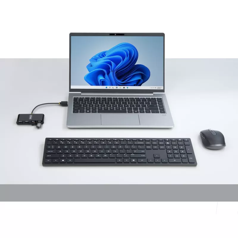 StarTech.com ST4200MINI2-USB-HUB sąsajos šakotuvas USB 2.0 480 Mbit/s Juodas