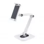 StarTech.com Reguliuojamas planšetės stovas stalui – Tvirtinamas prie sienos – Talpa 1 kg – Ergonomiškas lankstus universalus planšetės stovas – Planšetės laikiklis stalui, pasukamas / sukiojamas / rotuojamas