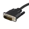 StarTech.com 3 m DisplayPort į DVI kabelis – DisplayPort į DVI adapterio kabelis 1080p vaizdo įrašui – DisplayPort į DVI-D kabelis vienos jungties – DP į DVI monitoriaus kabelis – DP 1.2 į DVI keitiklis