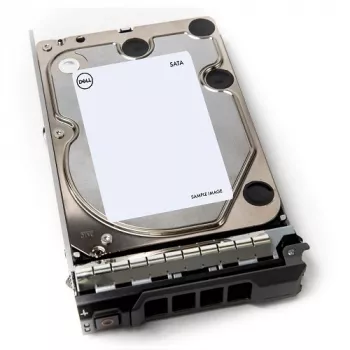 DELL 400-AEFB vidinis kietasis diskas 1 TB 7200 RPM 3.5 col. Serial ATA III