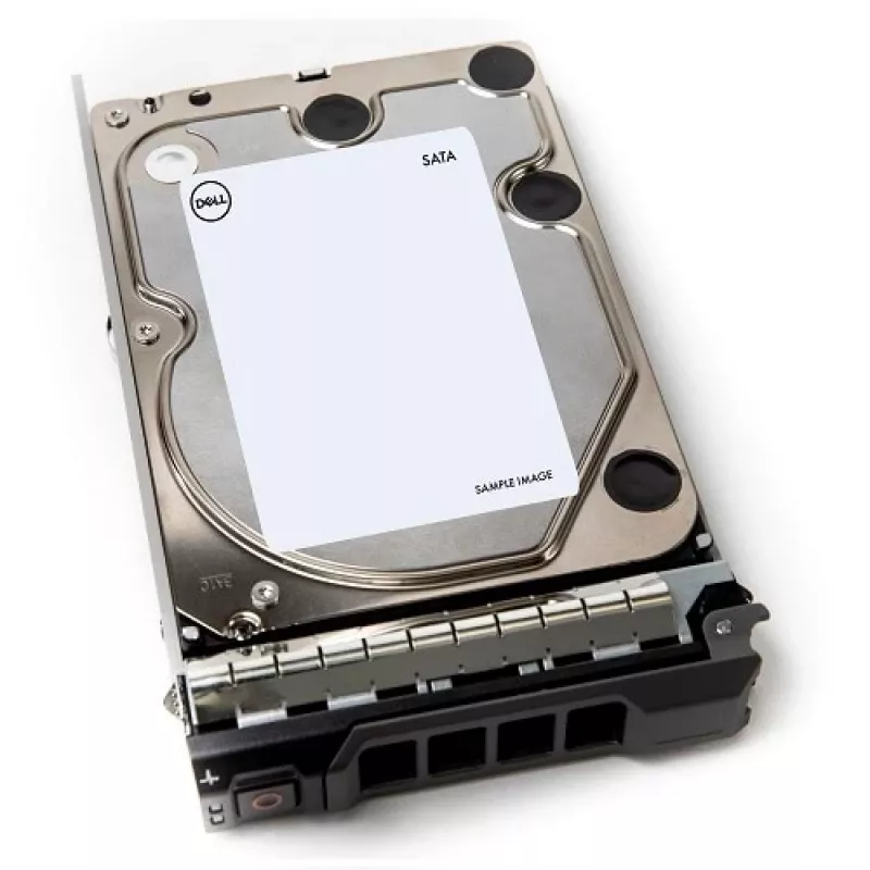 DELL 400-AEFB vidinis kietasis diskas 1 TB 7200 RPM 3.5 col. Serial ATA III