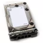 DELL 400-AEFB vidinis kietasis diskas 1 TB 7200 RPM 3.5 col. Serial ATA III