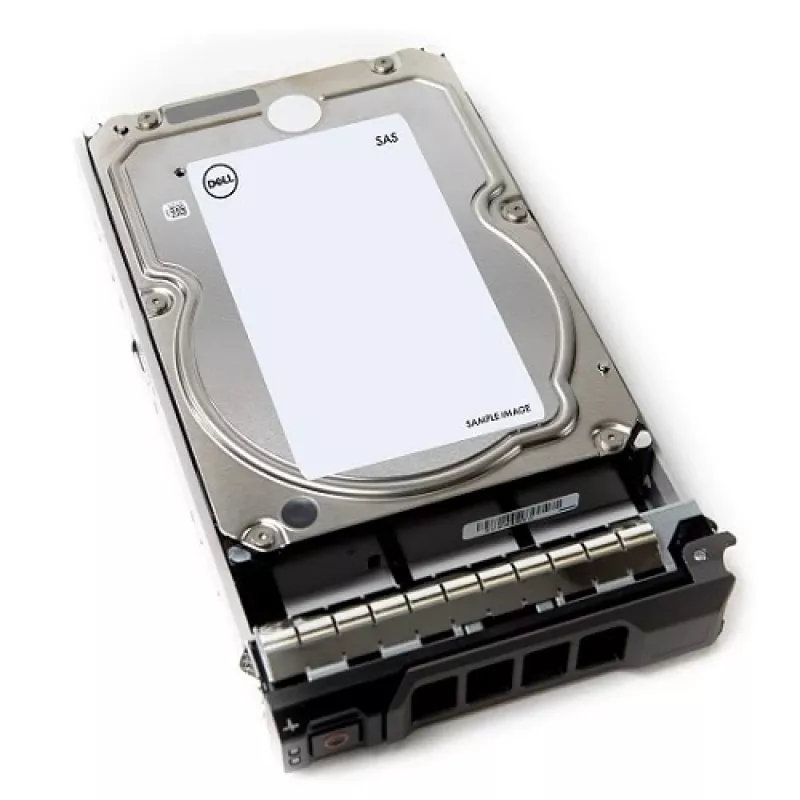 DELL W6Y7N vidinis standusis diskas 8 TB 7200 RPM 3.5 colio SAS