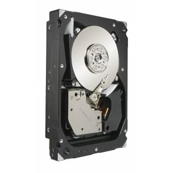 Seagate Cheetah 300 GB 3,5 col. SAS vidinis kietasis diskas 15 000 RPM 16 MB 3,5 col.