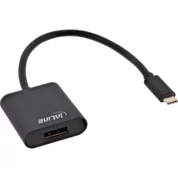 USB Display konverteris InLine 64102B USB-C į DisplayPort 4K/60Hz