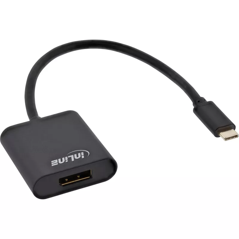 USB Display konverteris InLine 64102B USB-C į DisplayPort 4K/60Hz