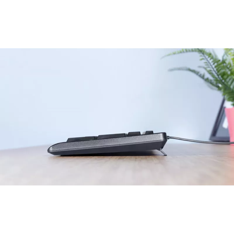 Trust TK-150 klaviatūra Office USB QWERTZ vokiečių juoda