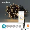 Dekoratyvinė šviesos grandinė Nedis WIFILX01W50 — 50 LED lempučių, 1,81 W, USB, IP65, 5 m laidas