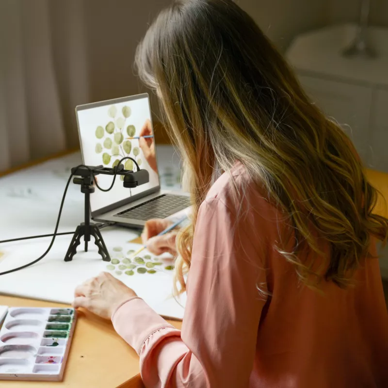 j5create JVU250 HD internetinė kamera su automatiniu ir rankiniu fokusavimo perjungikliu