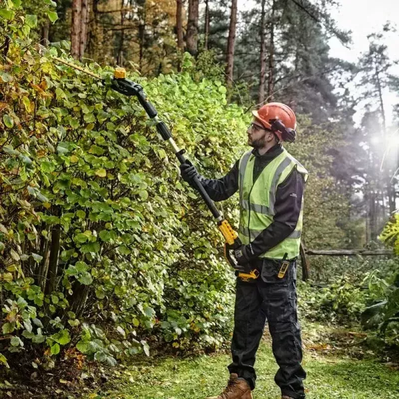 Elektrinis gyvatvorių žirglys DeWALT DCMPH566N-XJ