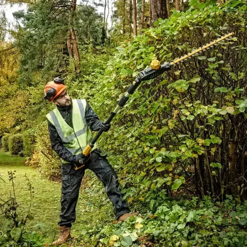 Elektrinis gyvatvorių žirglys DeWALT DCMPH566N-XJ