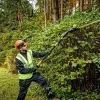 Elektrinis gyvatvorių žirglys DeWALT DCMPH566N-XJ