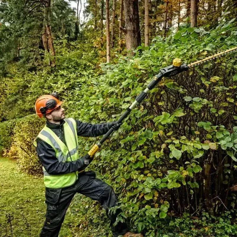 Elektrinis gyvatvorių žirglys DeWALT DCMPH566N-XJ