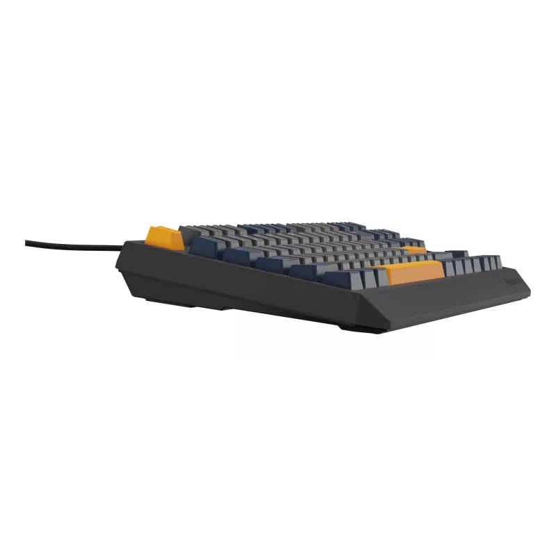 GENESIS Thor 230 TKL klaviatūra Gaming USB QWERTY English Blue
