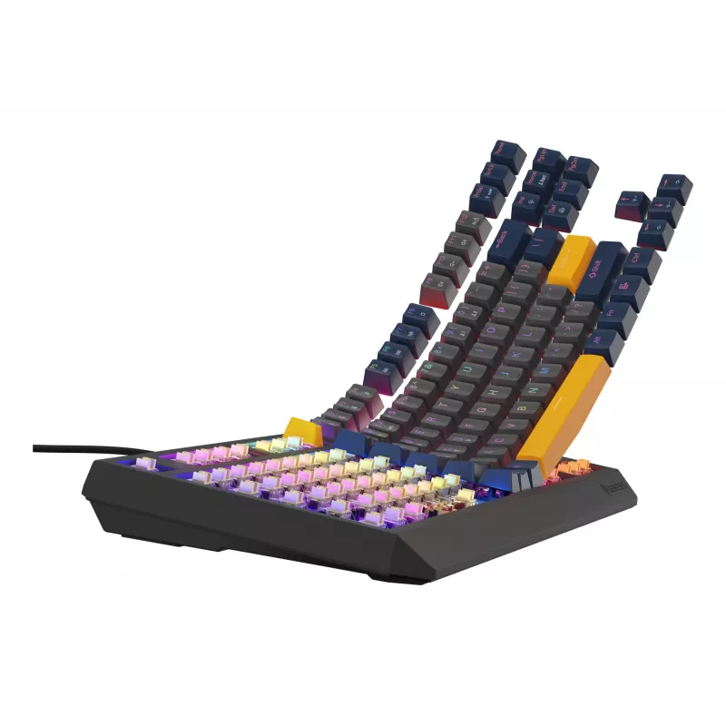 GENESIS Thor 230 TKL klaviatūra Gaming USB QWERTY English Blue