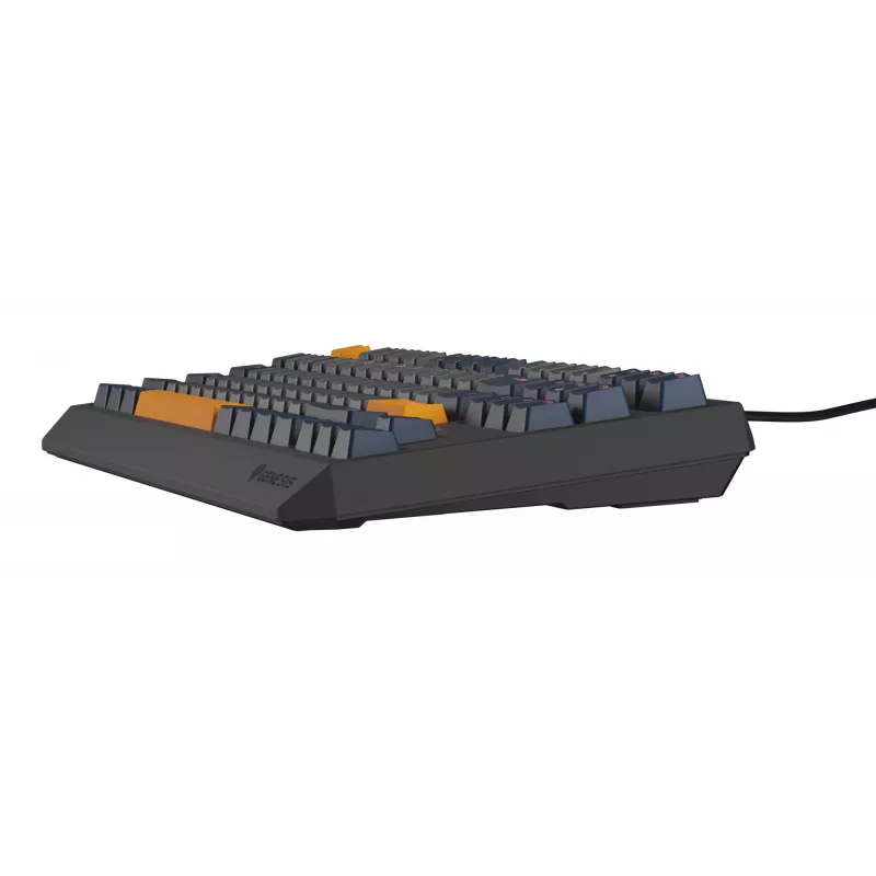 GENESIS Thor 230 TKL klaviatūra Gaming USB QWERTY English Blue