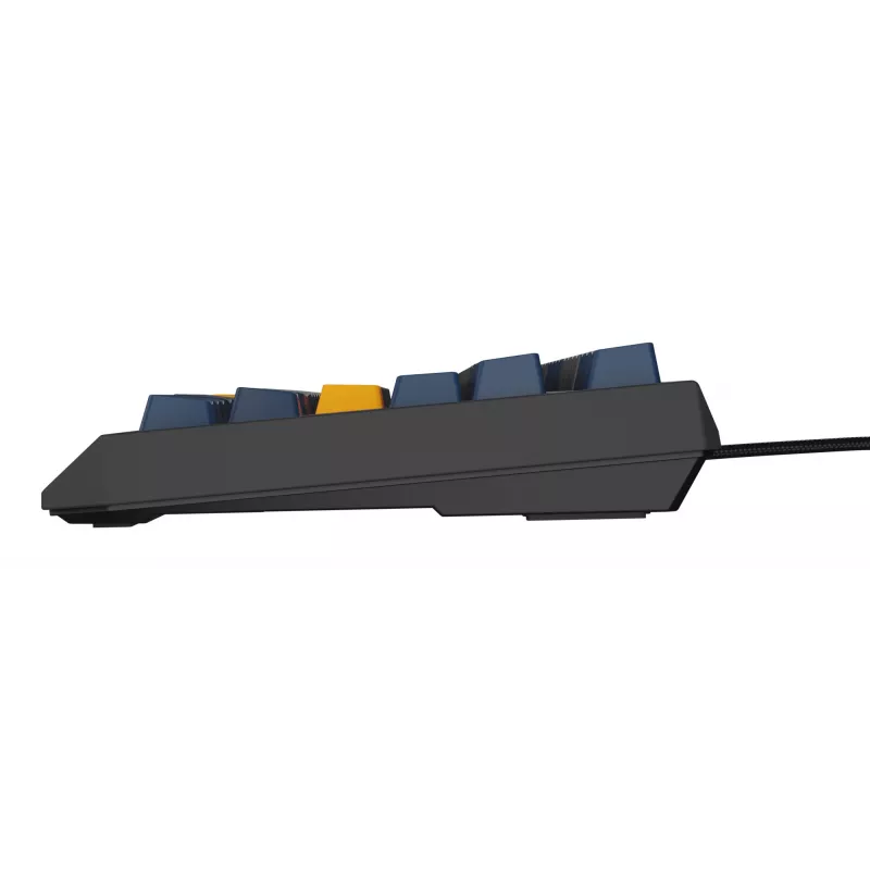 GENESIS Thor 230 TKL klaviatūra Gaming USB QWERTY English Blue