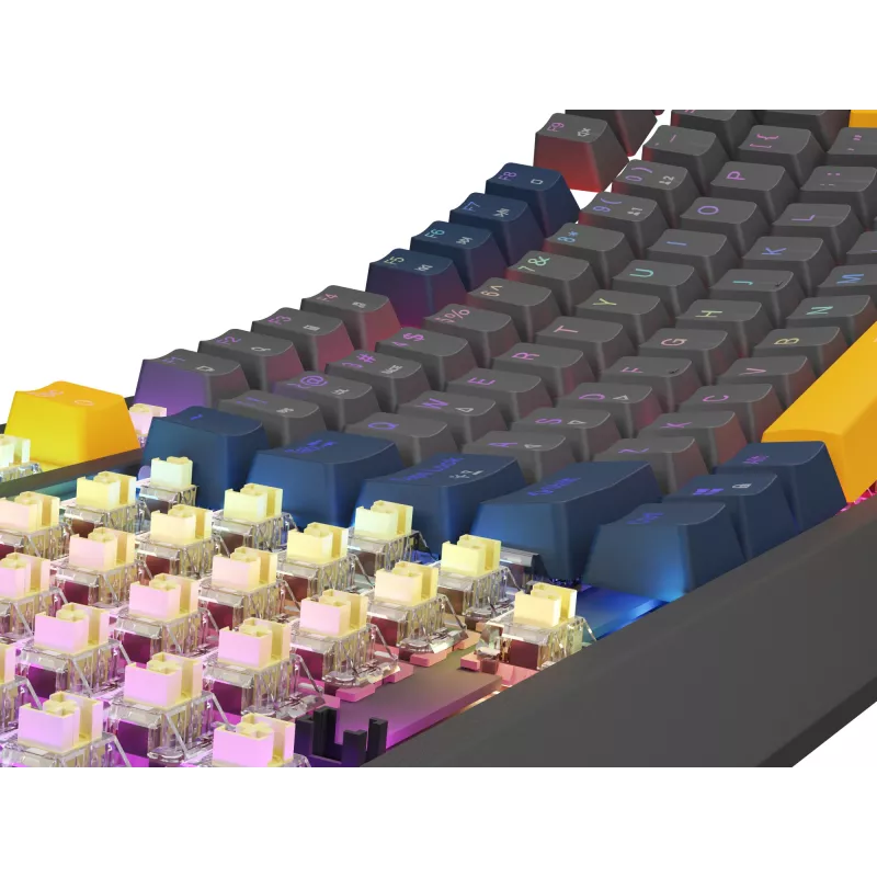GENESIS Thor 230 TKL klaviatūra Gaming USB QWERTY English Blue