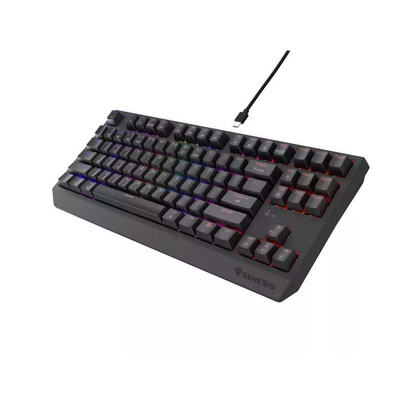 Mechaninė klaviatūra be skaičių bloko, skirta žaidimams, GENESIS Thor 230 TKL — USB, RF belaidis, Bluetooth, 87 klavišų QWERTY, pilka