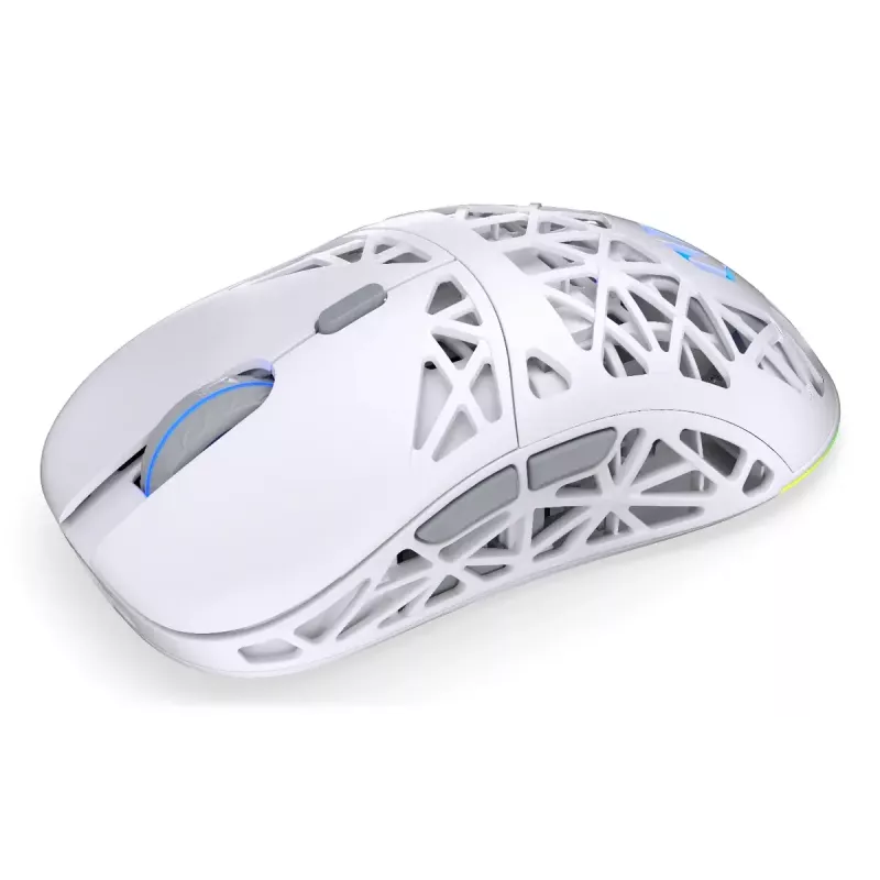 Belaidė žaidimų pelė ENDORFY LIV Onyx White — Bluetooth/2,4 GHz, 12 000 DPI, abiem rankoms tinkama, aRGB apšvietimas, 6 mygtukai, USB-A/USB-C kabelis