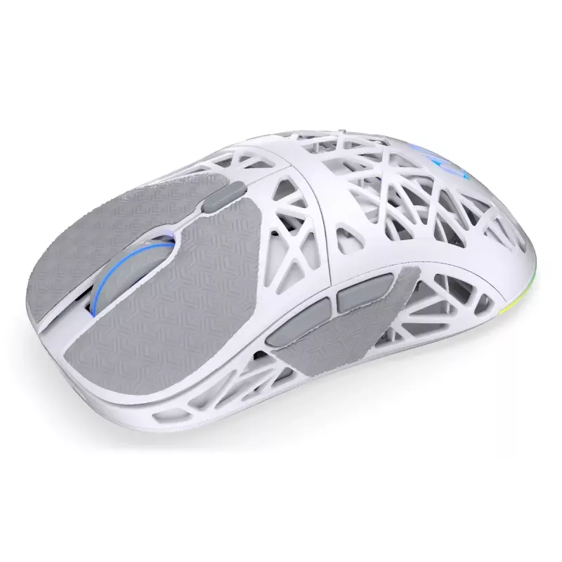 Belaidė žaidimų pelė ENDORFY LIV Onyx White — Bluetooth/2,4 GHz, 12 000 DPI, abiem rankoms tinkama, aRGB apšvietimas, 6 mygtukai, USB-A/USB-C kabelis